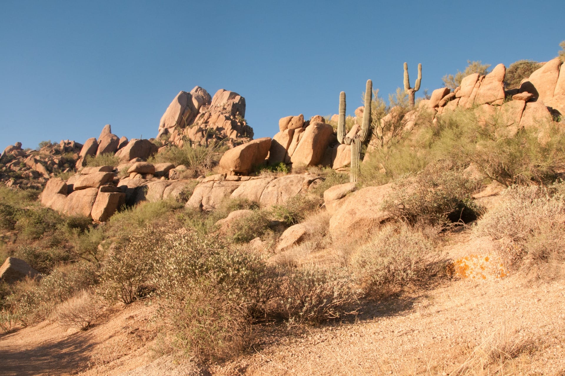 desert bathing pinnacle peak scottsdale az